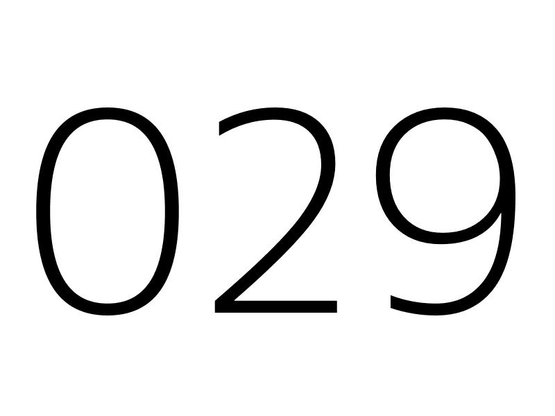 029